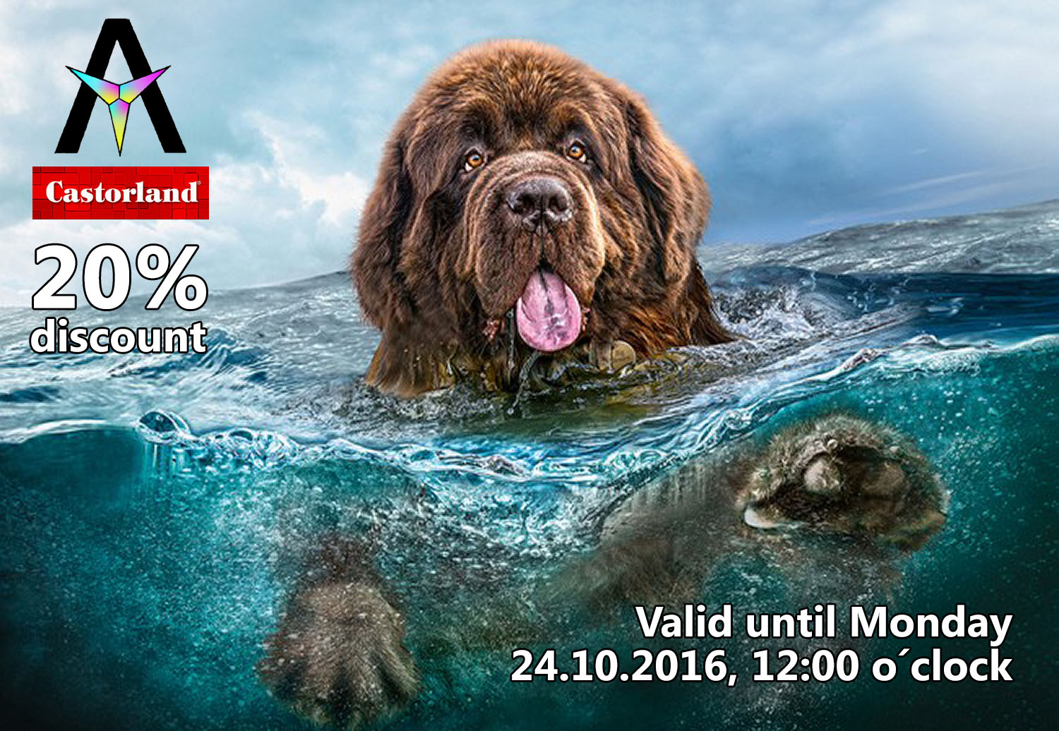 Sconto puzzle Castorland